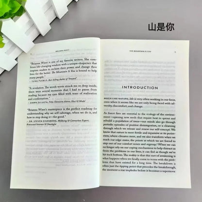 The Mountain Is You: Transforming Self-Sabotage Into Self-mastery English Books Birthday Gifts