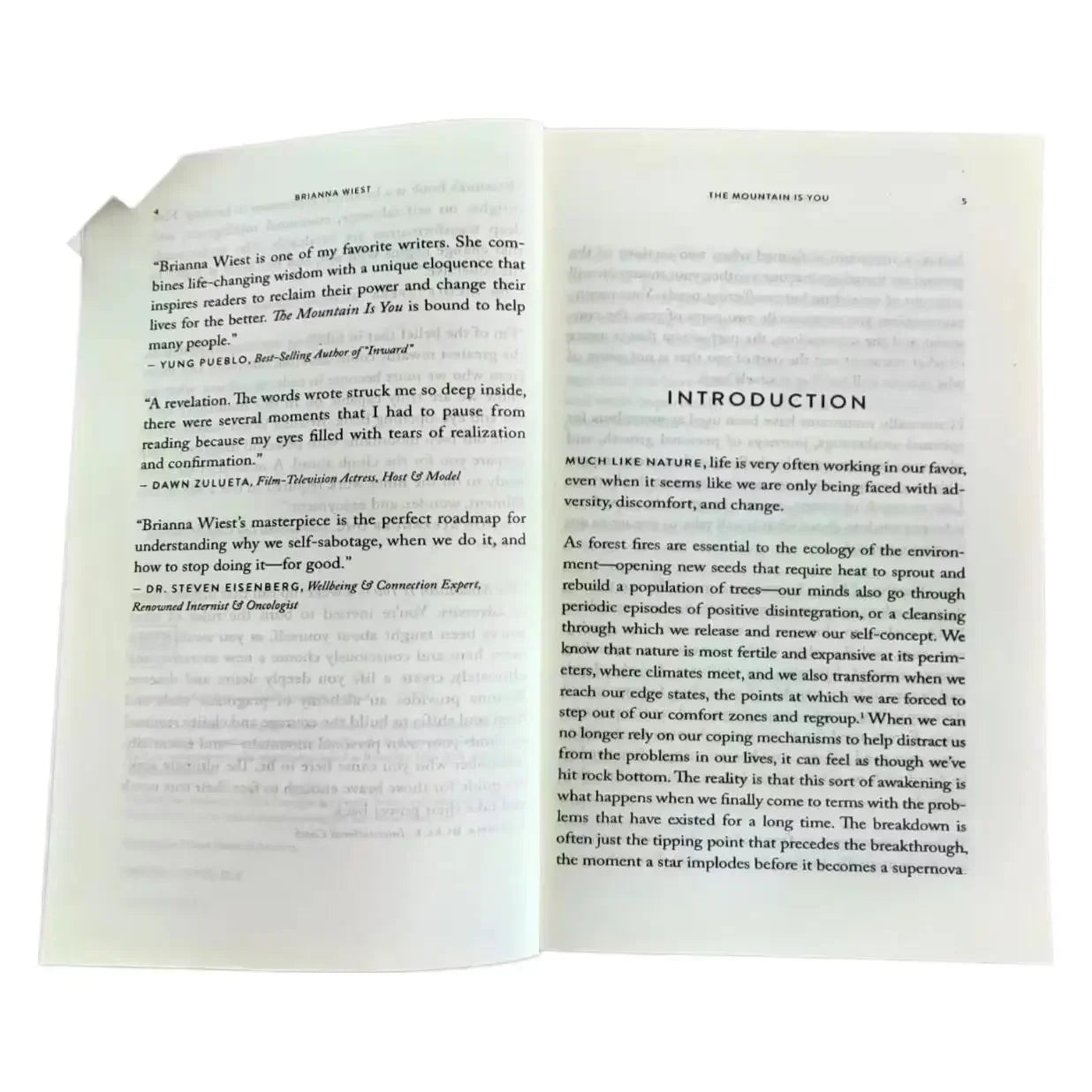 【English Book】 The Mountain Is You: Transforming Self-Sabotage Into Self-Mastery Self-Improvement Book