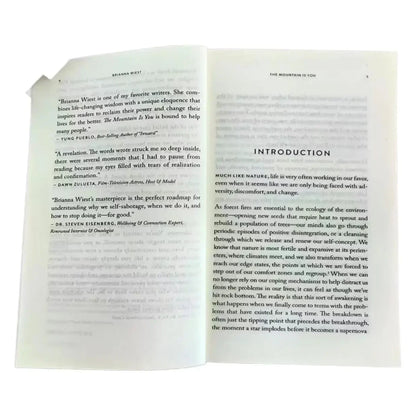 【IN STOCK】The Mountain Is You: Transforming Self-Sabotage Into Self-mastery English Books