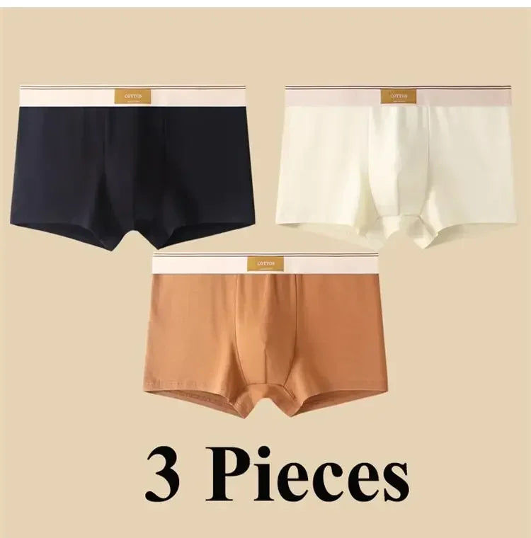 3pcs Shorts Men's Solid Color Underwear Breathable Underpants Sexy Thin Panties U Convex Lingerie  Men Panties L-4XL