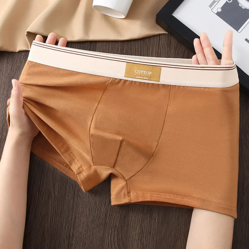 3Pcs Men's Underwear Hombre Panties Boxershorts Comfortable Breathable Cotton Underwear Sexy Underwear Solid Color Boxer Shorts