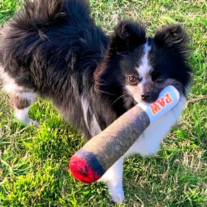 Plush Squeaky Toys for Medium, Small and Large - Cool Stuffed Cute Gifts for Dog Birthday Dog Joint Toys Funny Interactive