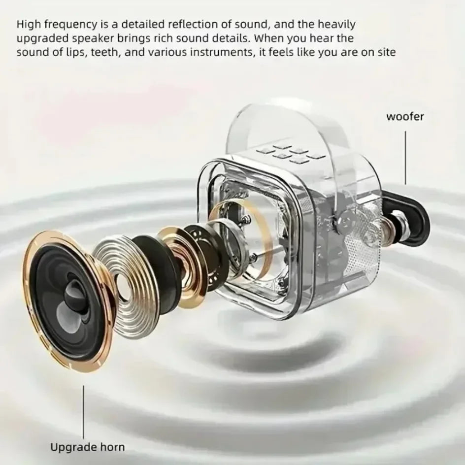 Portable Bluetooth 5.3 Karaoke Speaker with 1-2 Wireless Microphones 3D Surround Sound Home Family Singing for Aux/U Disk/TF