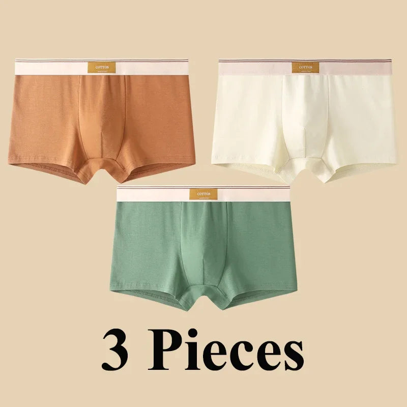 3pcs Shorts Men's Solid Color Underwear Breathable Underpants Sexy Thin Panties U Convex Lingerie  Men Panties L-4XL