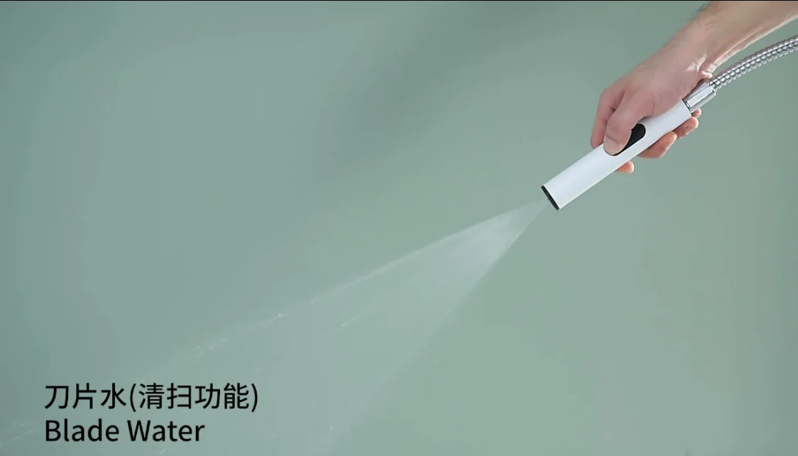 Bathroom Accessories 2 Functions 3 Functions Portable Shower Head Anus Cleaner ABS Sprayer Self-Cleaning Body Cleaner