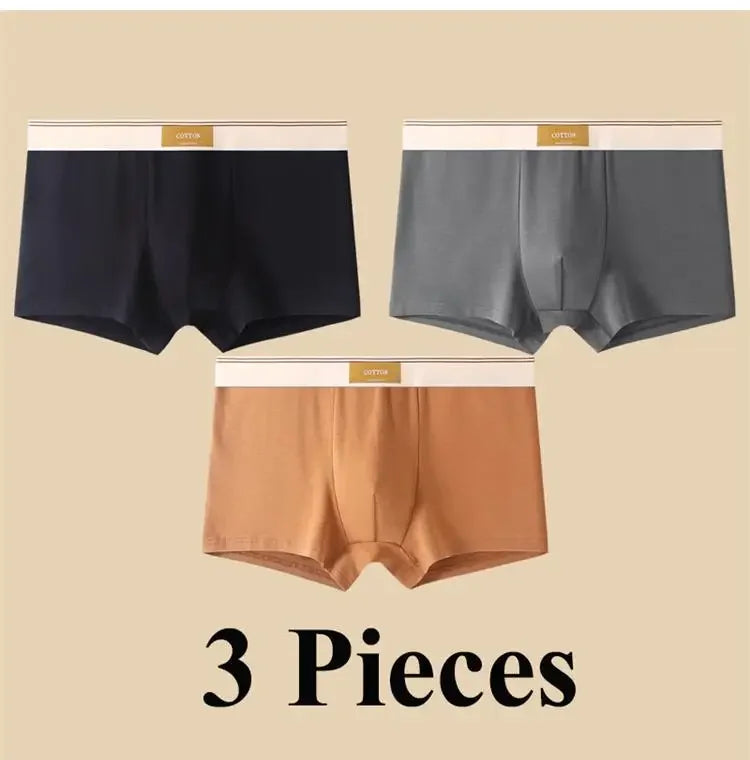 3pcs Shorts Men's Solid Color Underwear Breathable Underpants Sexy Thin Panties U Convex Lingerie  Men Panties L-4XL