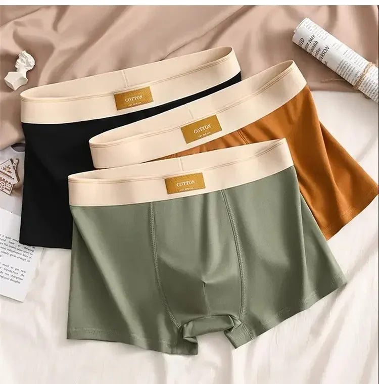 3pcs Shorts Men's Solid Color Underwear Breathable Underpants Sexy Thin Panties U Convex Lingerie  Men Panties L-4XL