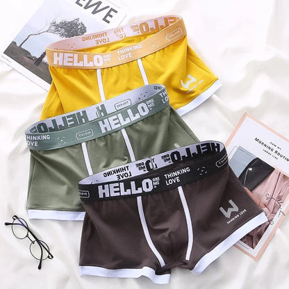 1Pcs Men Cotton Boxer Shorts Panties Underwear3 Colors L XL 2XL 3XL Soft Letter Belt Breathable Soft Fashion Sports