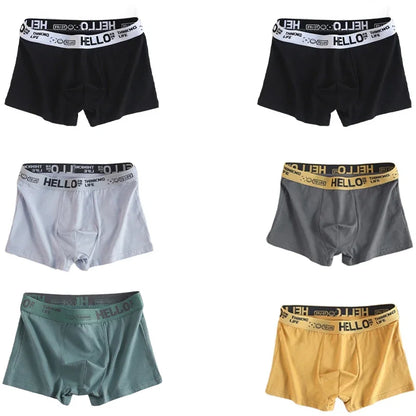 6Pcs Men Underwear Boys Cotton Underpants Male Pure Men Panties Shorts Breathable Boxer Shorts Comfortable soft Plus size