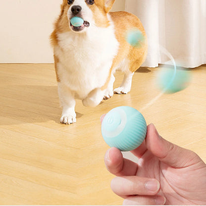 لعبة القطط المتحركة التلقائية، الكرة التفاعلية، الكرة الكهربائية المتدحرجة القابلة لإعادة الشحن، ملحقات الحيوانات الأليفة المنزلية، أشياء للإمدادات