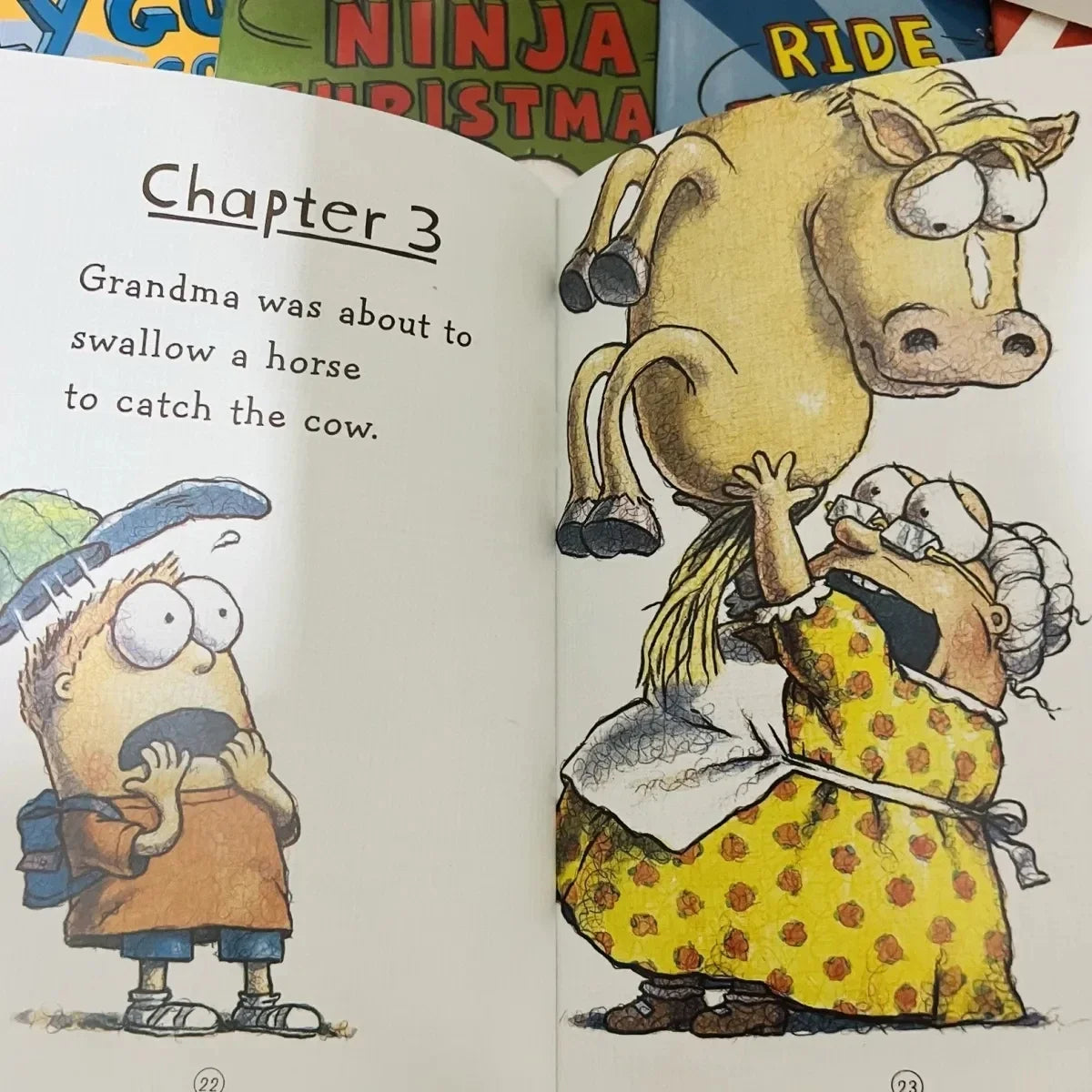 15 Books English Usborne Books for Children Kids Picture Books Baby Famous Story The Fly Guy Series Fun Reading Story Book