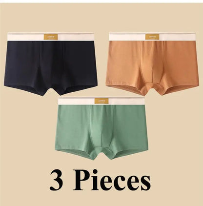 3pcs Shorts Men's Solid Color Underwear Breathable Underpants Sexy Thin Panties U Convex Lingerie  Men Panties L-4XL