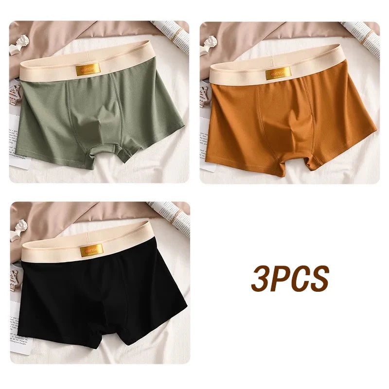3pcs Men Underwear Cotton BoxerShorts Hombre Panties Man Breathable Underpants Sexy Sports Comfort Male Boxers Large Size L-6XL