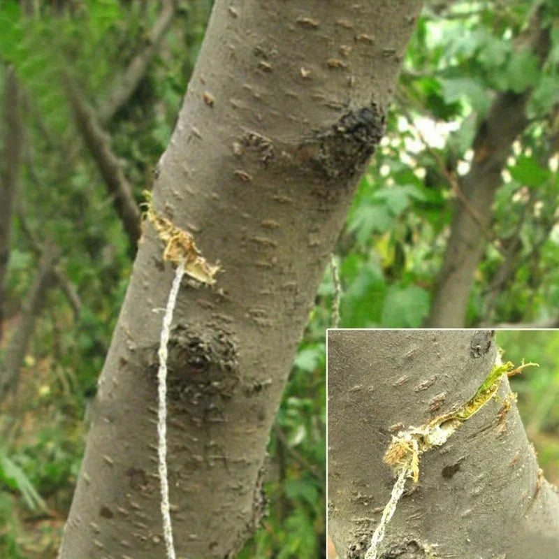 1PC portable stainless steel wire saw with finger handle, Pocket Manual chain saw for outdoor camping hiking survival