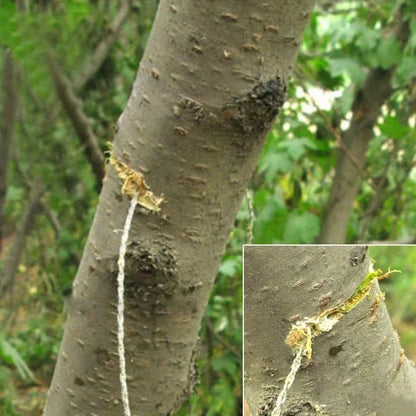 1PC portable stainless steel wire saw with finger handle, Pocket Manual chain saw for outdoor camping hiking survival