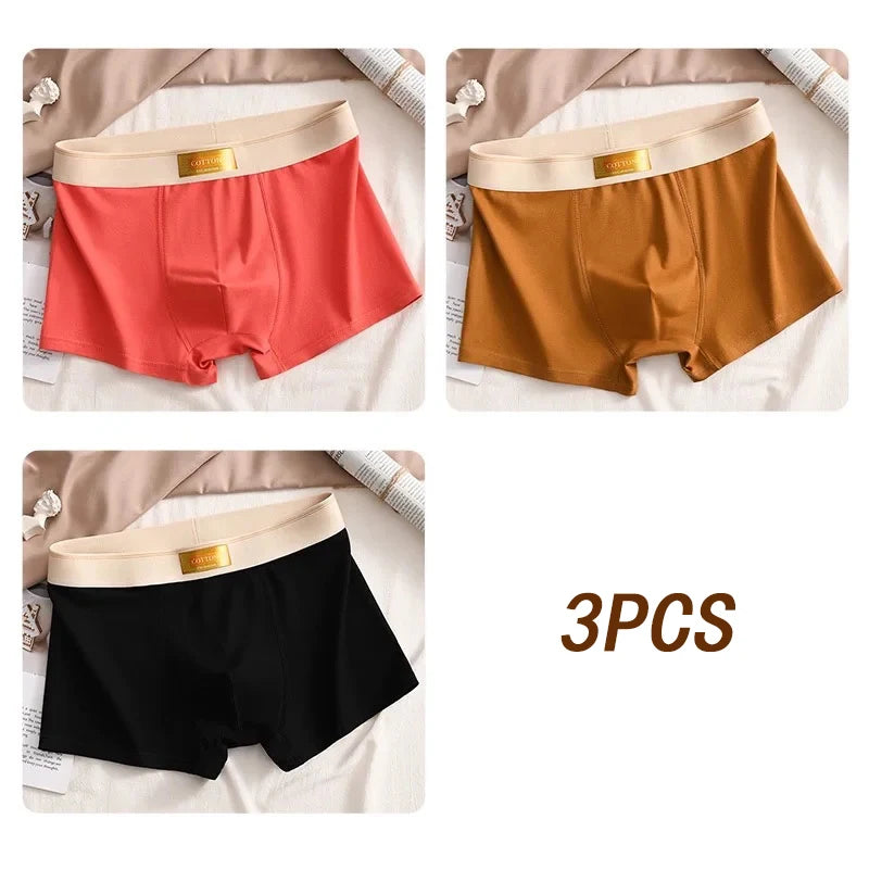 3pcs Men Underwear Cotton BoxerShorts Hombre Panties Man Breathable Underpants Sexy Sports Comfort Male Boxers Large Size L-6XL