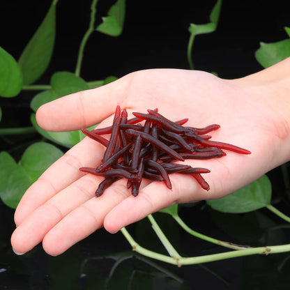 Sougayilang 50-200 قطعة طُعم صيد ناعم محاكاة دودة 4 سم 0.3 جرام طُعم اصطناعي واقعي برائحة السمك طُعم صيد سمك القاروص