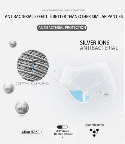 FINETOO 3PCS/SET Women's Cotton Panties Soft Striped Underpants Sexy Solid Color Briefs Female Comfortable Stretch Lingerie M-XL