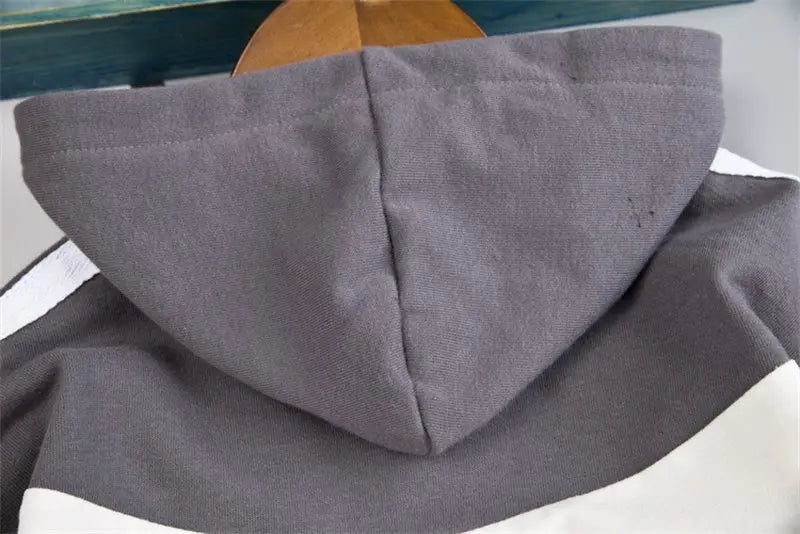 Kids Kids Clothes Children Cartoon Hooded Jackets Pants 2Pcs/Set Toddler Fashion Cotton Clothing Infant Tracksuits 0-5 Years