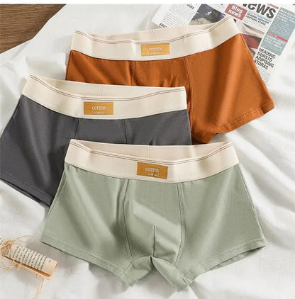 3pcs Shorts Men's Solid Color Underwear Breathable Underpants Sexy Thin Panties U Convex Lingerie  Men Panties L-4XL