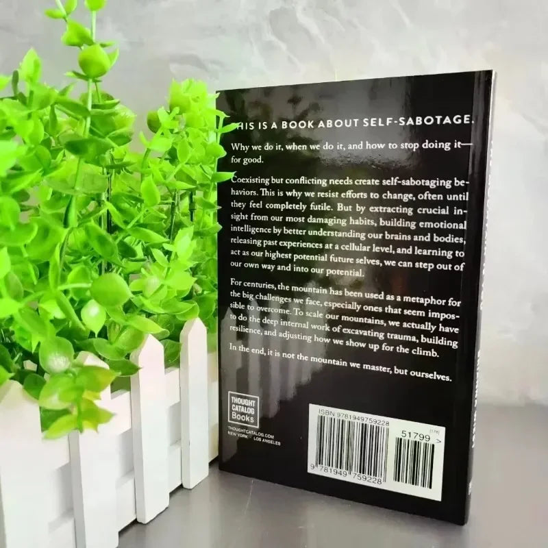 The Mountain Is You: Transforming Self-Sabotage Into Self-mastery English Books Birthday Gifts