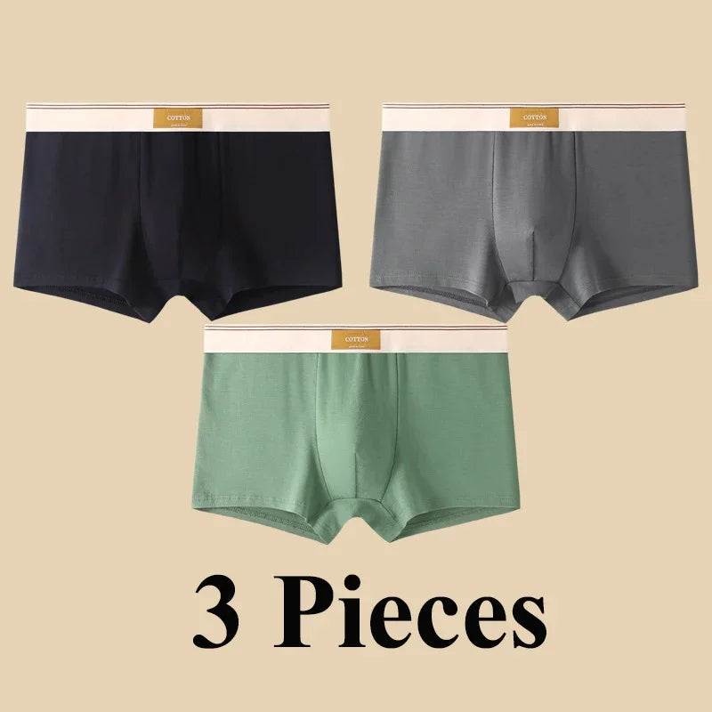 3pcs Shorts Men's Solid Color Underwear Breathable Underpants Sexy Thin Panties U Convex Lingerie  Men Panties L-4XL