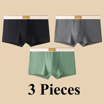 3pcs Shorts Men's Solid Color Underwear Breathable Underpants Sexy Thin Panties U Convex Lingerie  Men Panties L-4XL