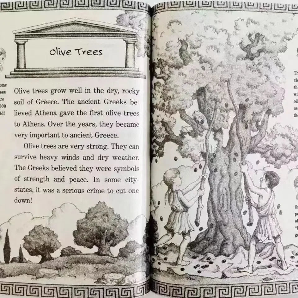 40 Books/Set Magic Tree House Fact Tracker Original English Reading Children's Books  Books for Kids  DIFUYA