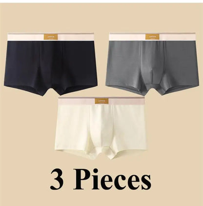 3pcs Shorts Men's Solid Color Underwear Breathable Underpants Sexy Thin Panties U Convex Lingerie  Men Panties L-4XL