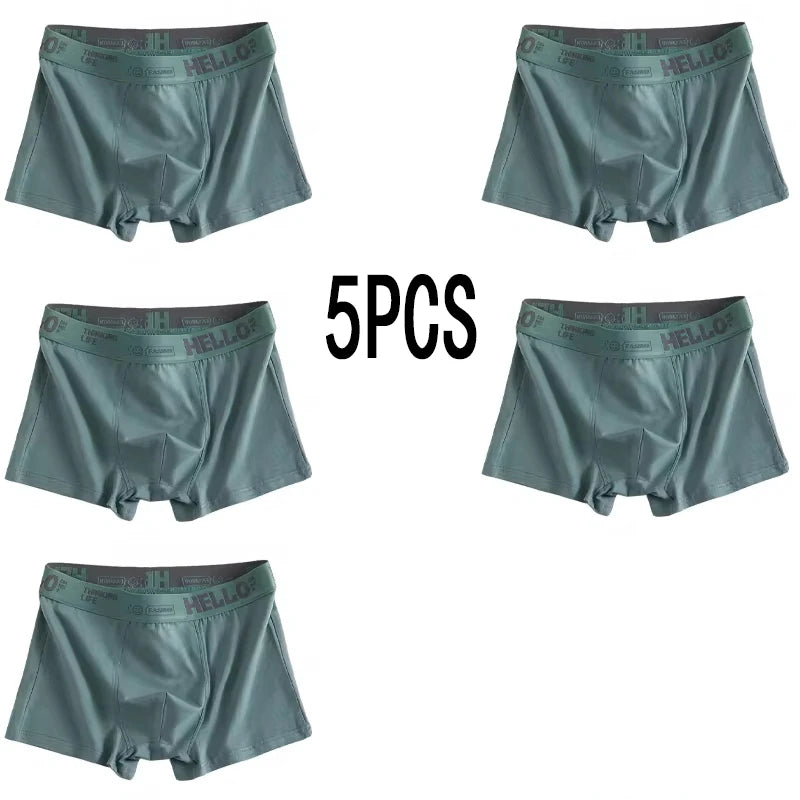 5-piece men's underwear, briefs, letters, breathable and comfortable set, multiple colors, L-4XL