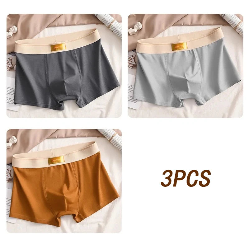 3pcs Men Underwear Cotton BoxerShorts Hombre Panties Man Breathable Underpants Sexy Sports Comfort Male Boxers Large Size L-6XL