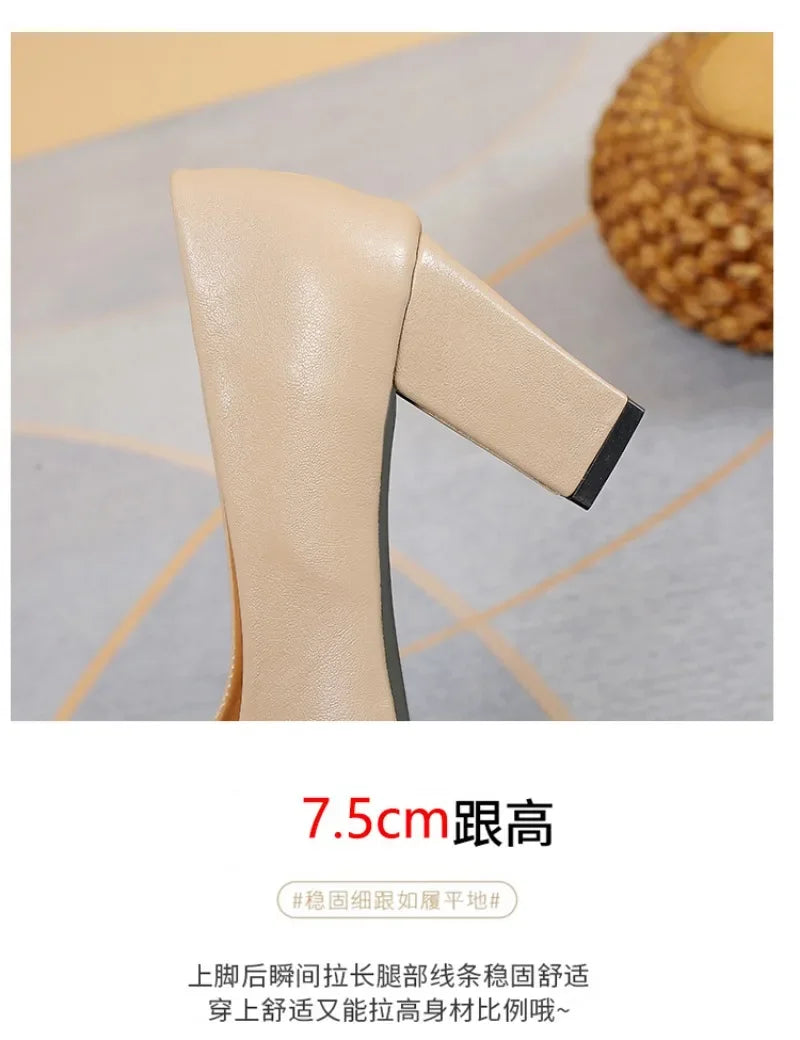 2024 Brand Shoes for Women Slip on Women's High Heels Concise Office & Career Pumps Women Pointed Toe Chunky Heels Shoes Ladies