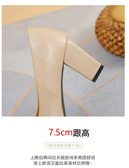 2024 Brand Shoes for Women Slip on Women's High Heels Concise Office & Career Pumps Women Pointed Toe Chunky Heels Shoes Ladies