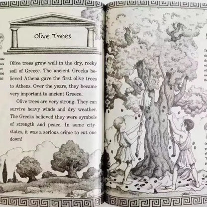 40 Books/Set Magic Tree House Fact Tracker Original English Reading Children's Books  Books for Kids  DIFUYA