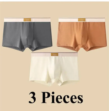 3pcs Shorts Men's Solid Color Underwear Breathable Underpants Sexy Thin Panties U Convex Lingerie  Men Panties L-4XL