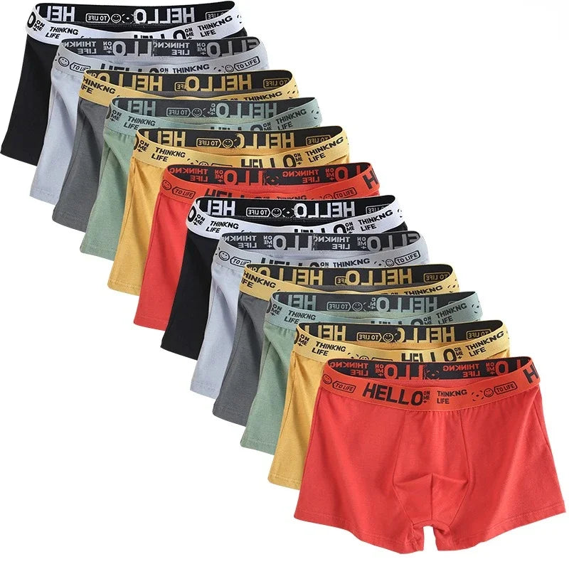 6Pcs Men Underwear Boys Cotton Underpants Male Pure Men Panties Shorts Breathable Boxer Shorts Comfortable soft Plus size