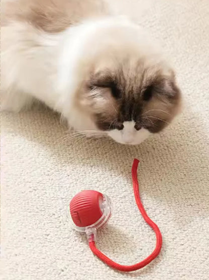 Cat toys cat smart cat balls to help relieve boredom kitten avoid toys pet electric rolling ball artifact
