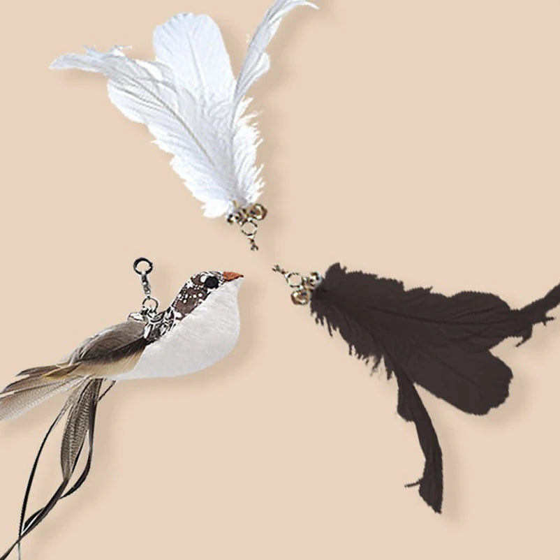 New Cat Toy Feather Stick Interactive Toy Super Suction Kitten Toy Cup Removable 2 Feather Replacement Cat Accessories