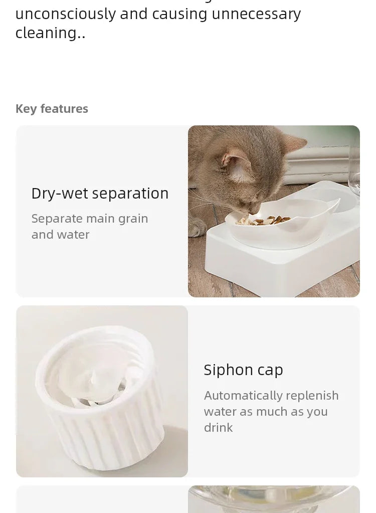 New Pet Bowl 15 Degrees Tilt to Protect Cervical Vertebrae Dog Food Bowl Automatic Drinking Feeder Pet Feeding Supplies