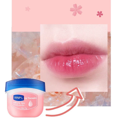 4pcs/box Natural Plant Lip Balm Moisturizing Plump Lips Lipsticks Makeup Base Anti-Cracking Lips Oil Lip Plumper Skin Care