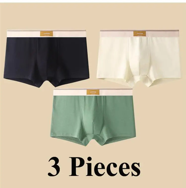 3pcs Shorts Men's Solid Color Underwear Breathable Underpants Sexy Thin Panties U Convex Lingerie  Men Panties L-4XL