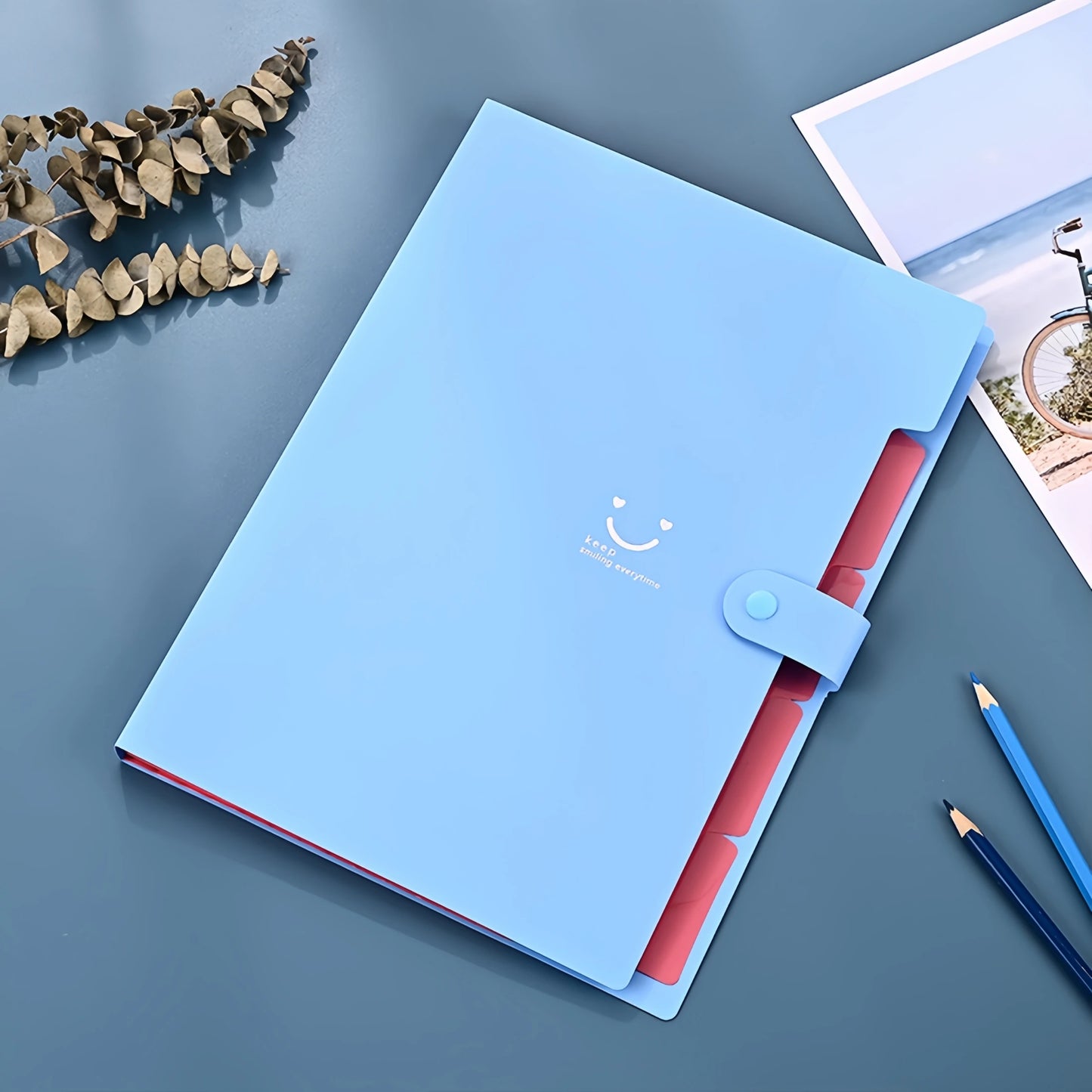 A4 Multi-Layer Folder File Bag Candy Color Five Grid Organ Bags Large Capacity Korean Simple Office School Supplies Stationery