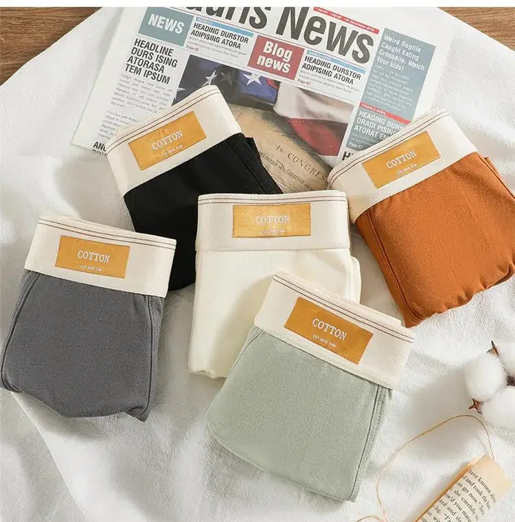 3pcs Shorts Men's Solid Color Underwear Breathable Underpants Sexy Thin Panties U Convex Lingerie  Men Panties L-4XL