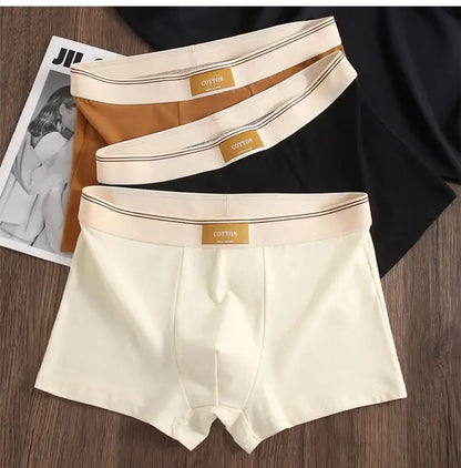 3pcs Shorts Men's Solid Color Underwear Breathable Underpants Sexy Thin Panties U Convex Lingerie  Men Panties L-4XL