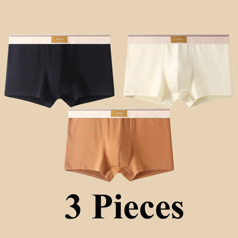 3pcs Shorts Men's Solid Color Underwear Breathable Underpants Sexy Thin Panties U Convex Lingerie  Men Panties L-4XL