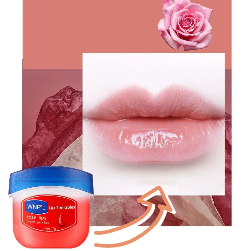 4pcs/box Natural Plant Lip Balm Moisturizing Plump Lips Lipsticks Makeup Base Anti-Cracking Lips Oil Lip Plumper Skin Care