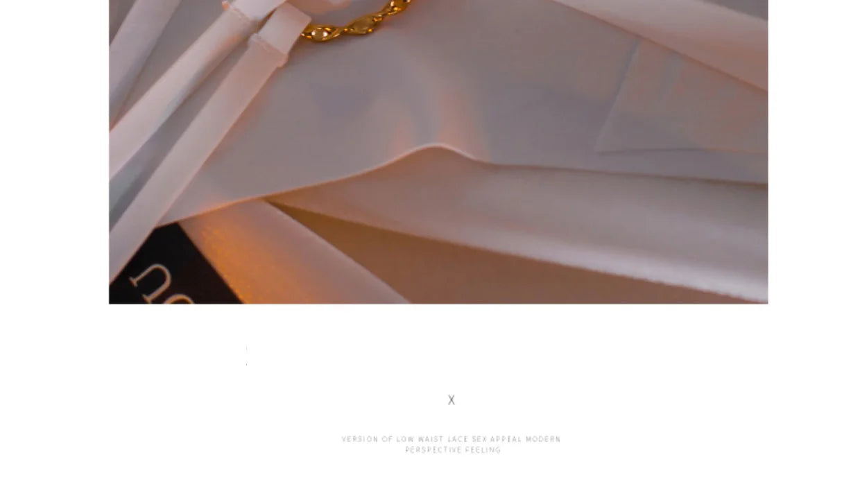 Ice Silk Girls Briefs Iron Ring Sexy Women G String Panties Underwear Thong Seamless Underpants Yoga Lingerie Plus Size S-XL