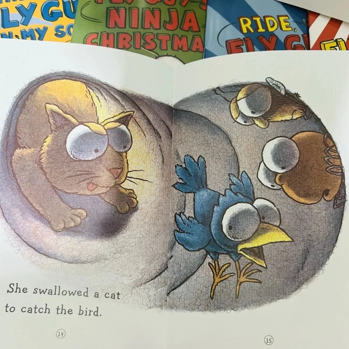 15 Books English Usborne Books for Children Kids Picture Books Baby Famous Story The Fly Guy Series Fun Reading Story Book