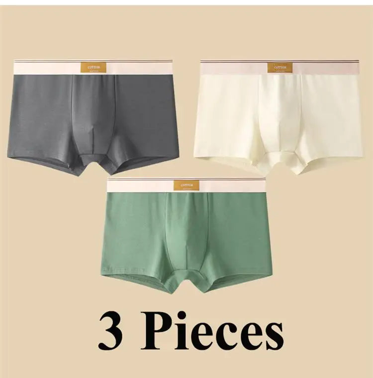 3pcs Shorts Men's Solid Color Underwear Breathable Underpants Sexy Thin Panties U Convex Lingerie  Men Panties L-4XL