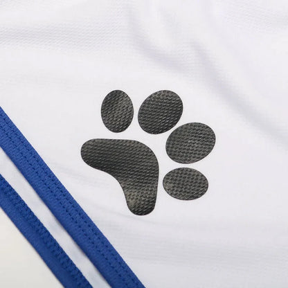 Mens Gym Fitness Shorts Bodybuilding running sports shorts Jogging Workout Male Summer Breathable Mesh Shorts men Sweatpants02